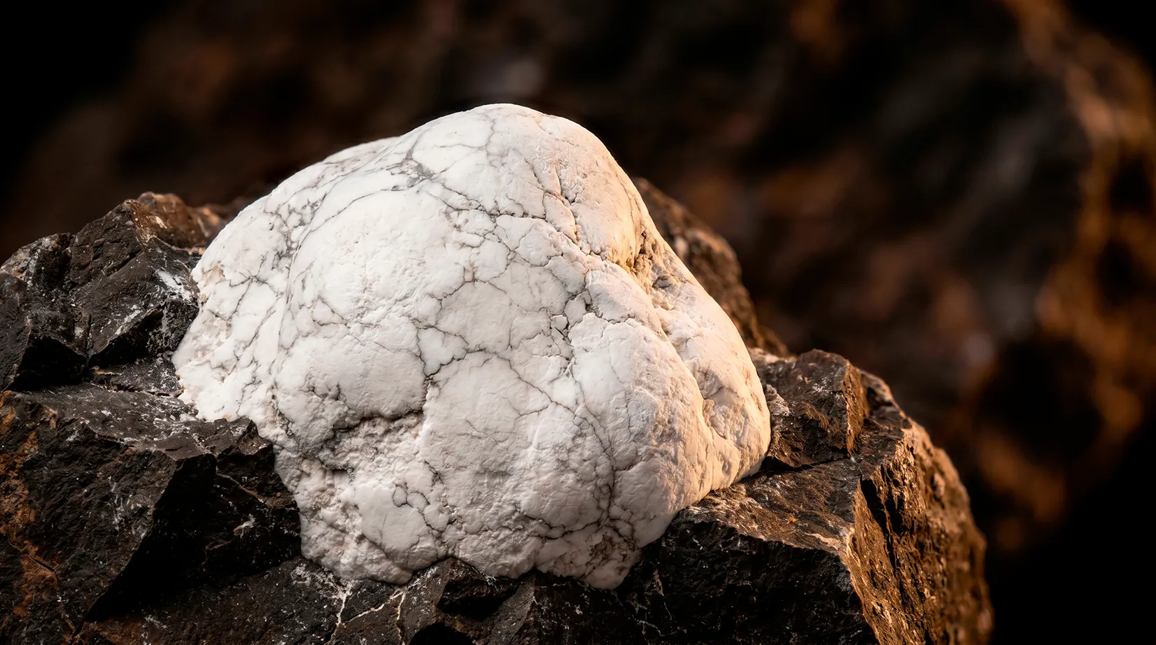 Close-up photograph of a rounded white Howlite mineral specimen with dark spiderweb-like veining sitting on black rock matrix.